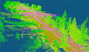 Powerline corridor analysis