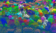 Extract Tree Crowns