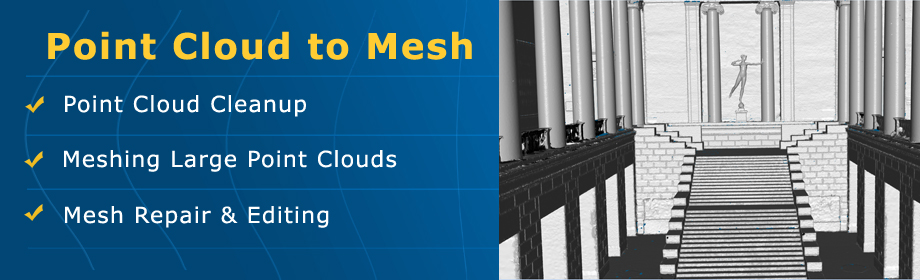 Point Cloud to Mesh Conversion