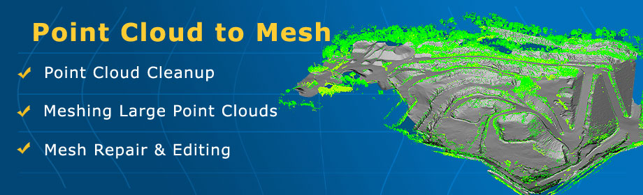 Point Cloud to Mesh Conversion